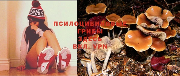 молекула духа Верхнеуральск