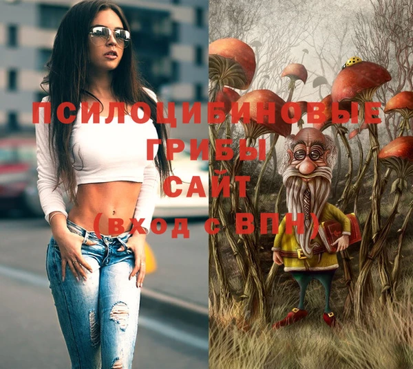 дмт Верея