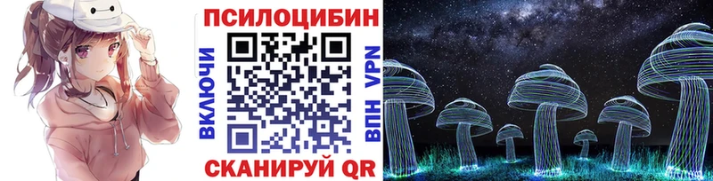 Псилоцибиновые грибы прущие грибы  что такое   Черноголовка 